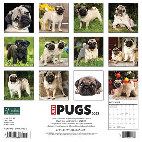 Pug Desk Calendar 2023